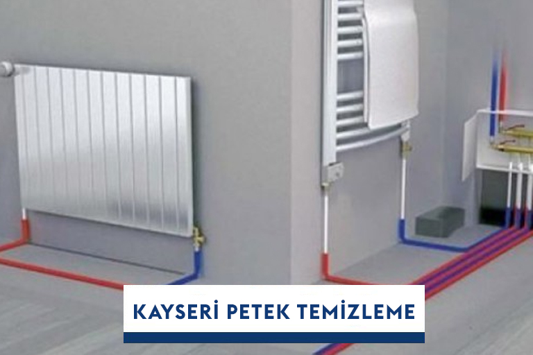 Kayseri Petek Temizleme